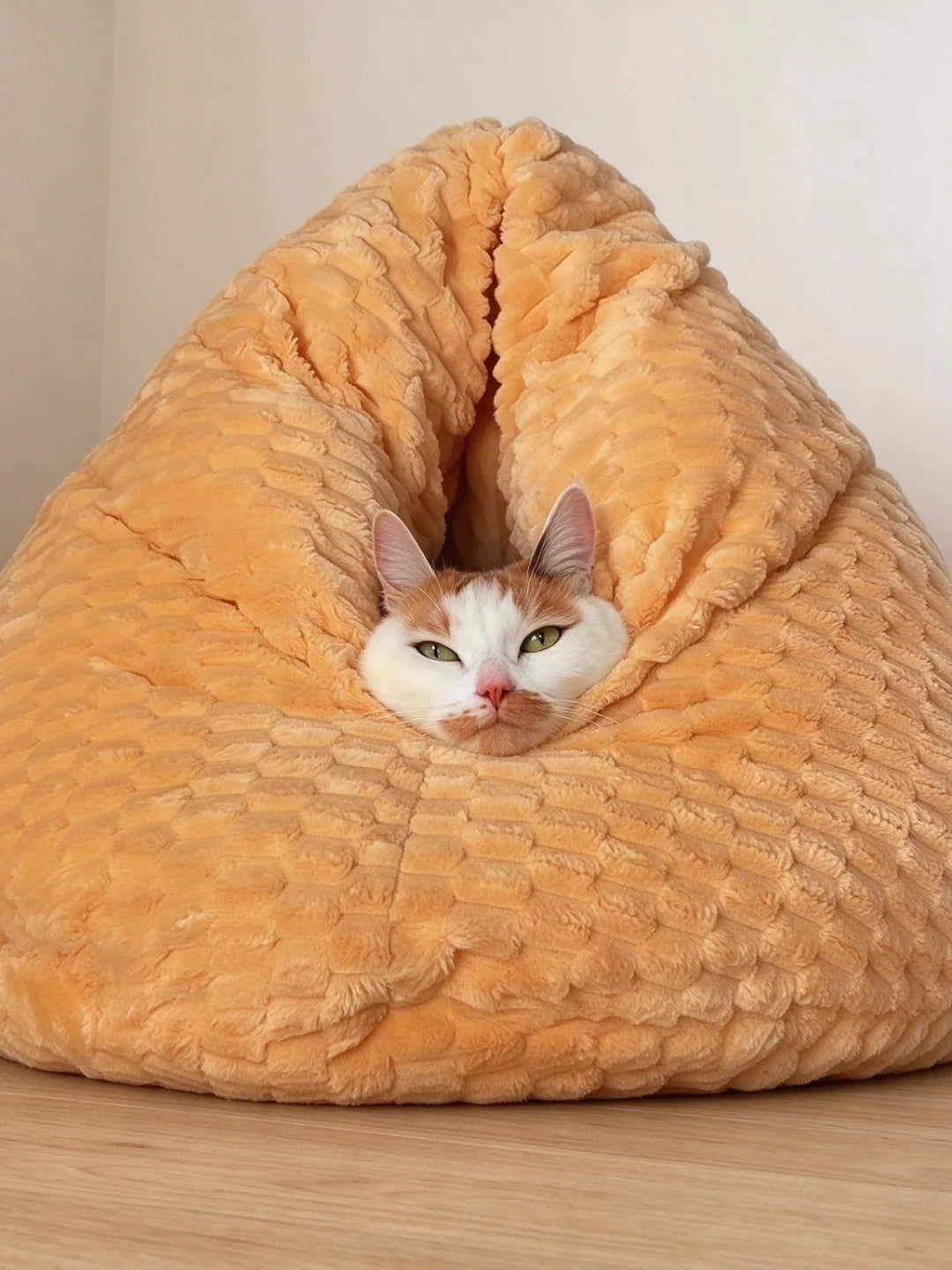 しずく型猫ハウス寝袋に入る猫