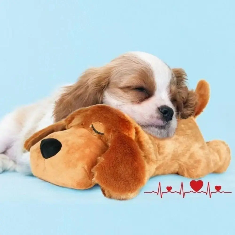 子犬が寄り添って眠る様子