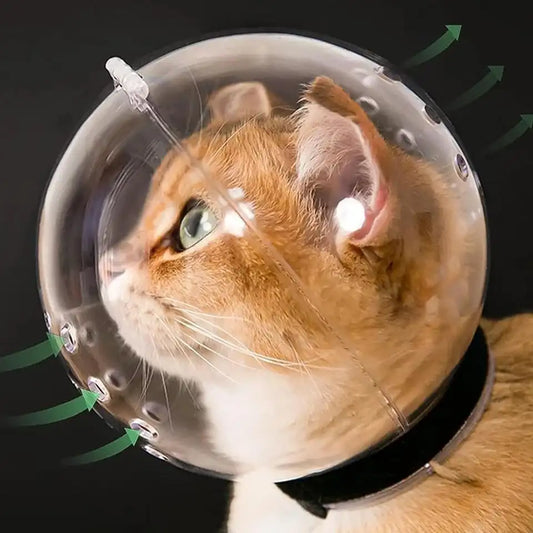 猫用バブルヘルメット 正面