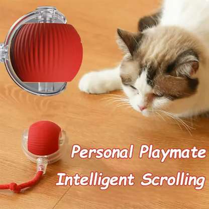 Smart Pet Ball with Automatic Obstacle Avoidance (USB Rechargeable)