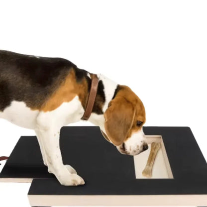犬用木製爪とぎボード ビーグル使用イメージ