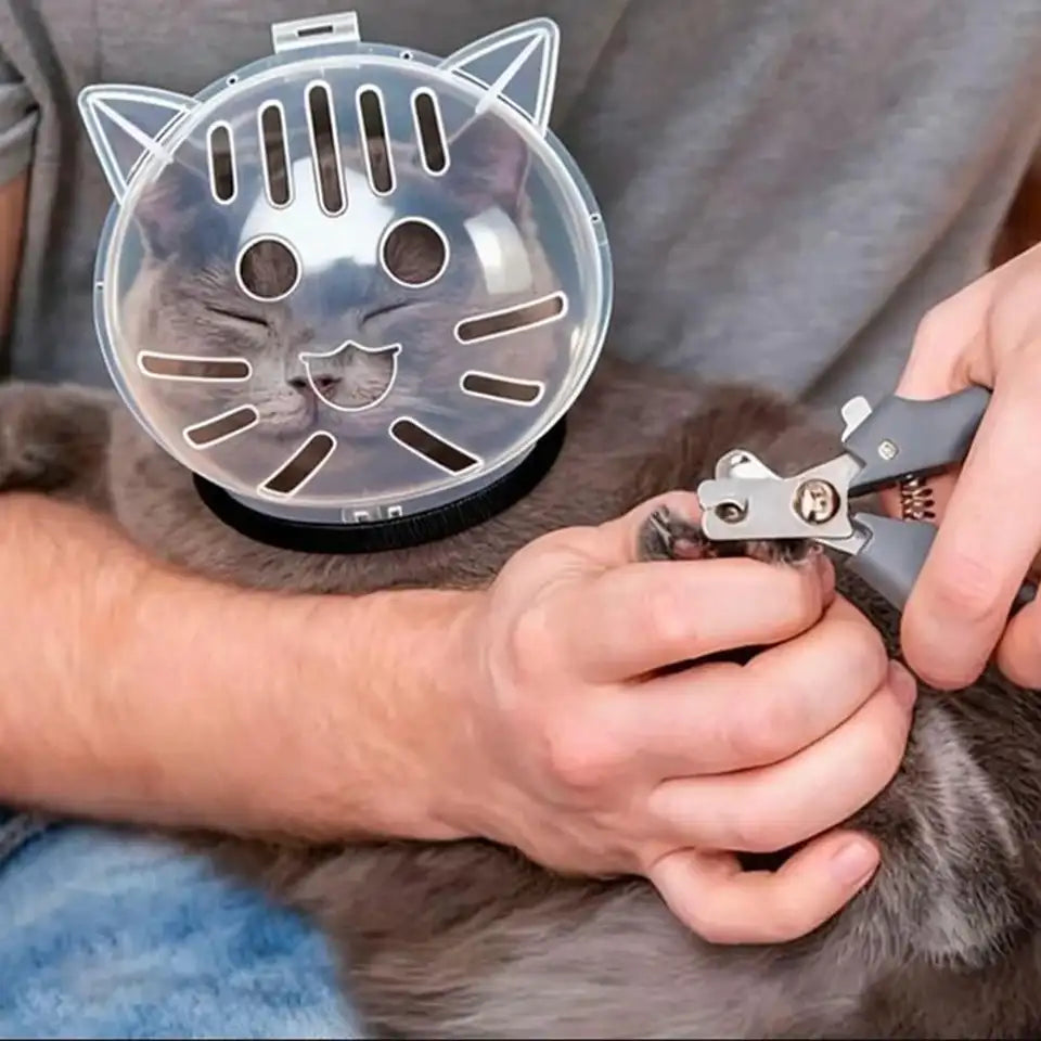 猫用バブルヘルメット 使用シーン