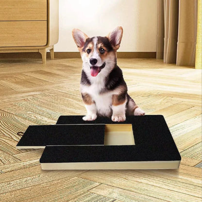 犬用木製爪とぎボード コーギー使用イメージ