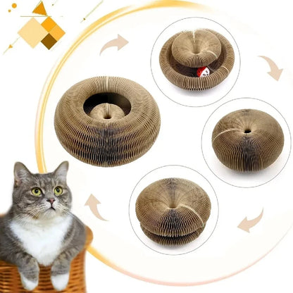 Foldable Cat Scratcher Board | 3-in-1  Scratch, Play & Nap | All Ages