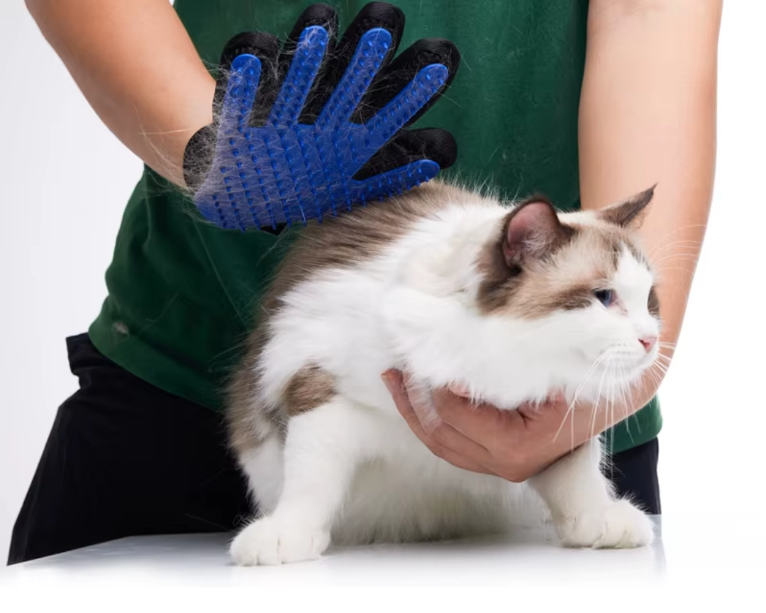 Pet grooming gloves | Deshedding massage brush Pet care gloves
