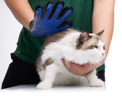 Pet grooming gloves | Deshedding massage brush Pet care gloves