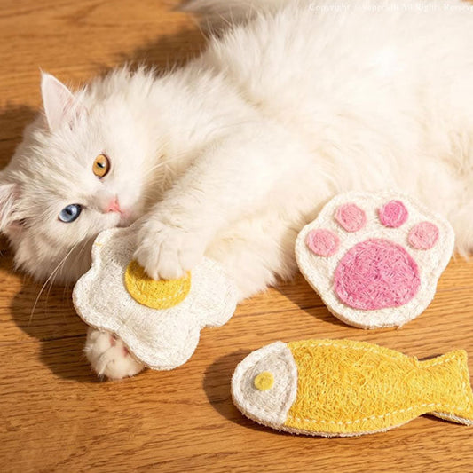 天然ヘチマ 猫の歯みがきおもちゃ 3個セット（目玉焼き・肉球・おさかな）
